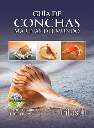 GUIA DE CONCHAS MARINAS DEL MUNDO
