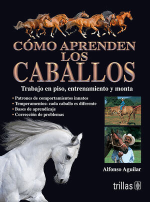 COMO APRENDEN LOS CABALLOS