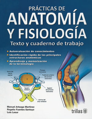 PRACTICAS DE ANATOMIA Y FISIOLOGIA. TEXTO Y CUADERNO DE TRABAJO
