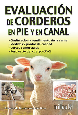 EVALUACION DE CORDEROS EN PIE Y EN CANAL