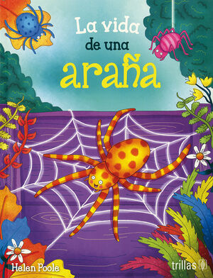 LA VIDA DE UNA ARAÑA